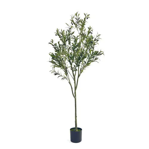 EverGreen 180cm Faux Olive Tree