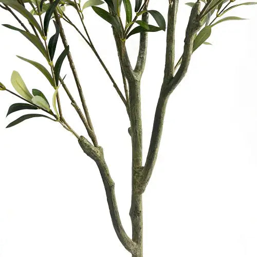 EverGreen 180cm Faux Olive Tree