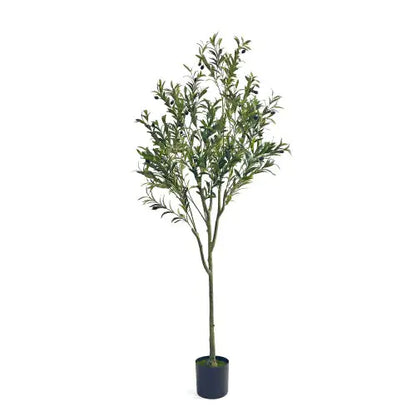 EverGreen 180cm Faux Olive Tree