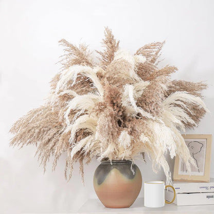 Pampas grass arrangement in a vase on a white surface with a light background