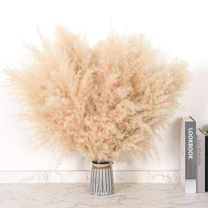 17-inch Beige Boho Pampas Grass Bundle - Natural Dried Floral Decor for Home