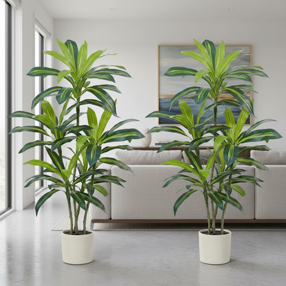 ZEEOZE Dracaena Trees - Living Room